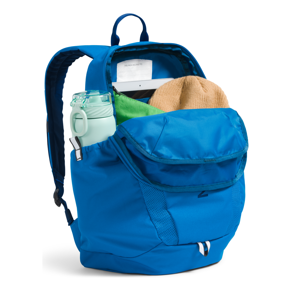 The North Face Youth Mini Recon Backpack